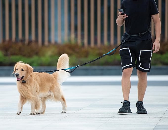 iYoShop Hands Free Dog Leash with Zipper Pouch, Dual Padded Handles and Durable Bungee for Walking, Jogging and Running Your Dog (Colorful Rhombus, Large)