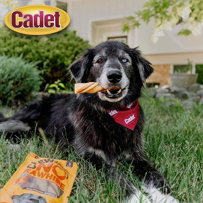 Cadet Chewalicious Chewy 'N Crunchy Spiral Dog Treats, Limited Ingredient, Rawhide-Free, Long-Lasting Chews for Dogs Made with Real Chicken, 8 Count, Pack of 1