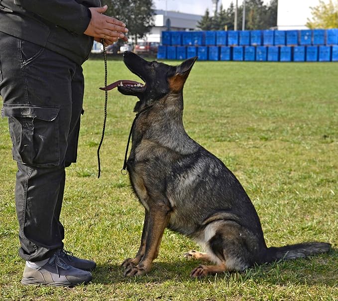 Dingo Gear Dog Choke Collar Hand Sewn Strong Polypropylene Braided Cord Two Limiters Waterproof Choker for K9 Training IGP Agitation Bite Work Obedience M - Black (S04048)