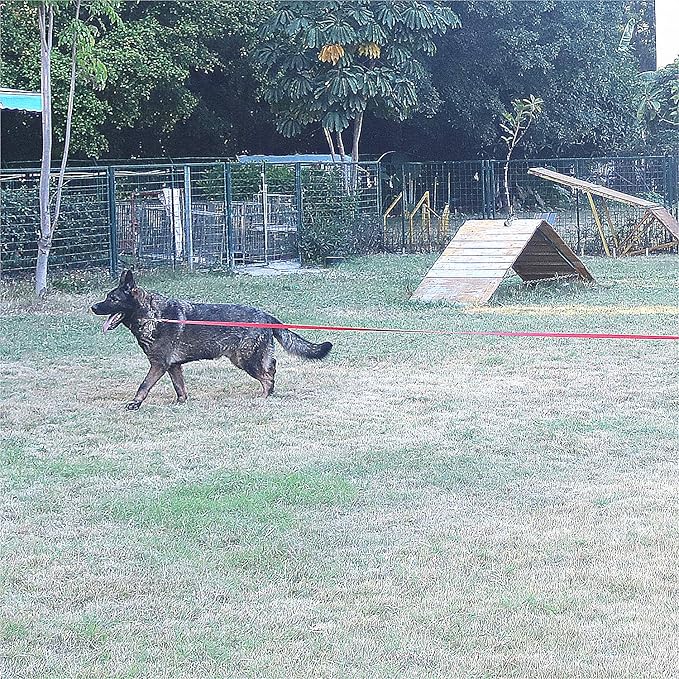Dog/Puppy Obedience Recall Training Agility Lead - 20ft Long Training Leash，3/4in Wide - Great for Play, Camping, or Backyard（Purple,20 Feet）