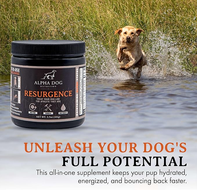 Resurgence Dog Electrolytes by Alpha Dog Nutrition | Promote Dog Hydration, Increase Stamina, and Boost Recovery | Electrolyte Water Additive or Food Topper to Prevent Dehydration with Beef Flavoring
