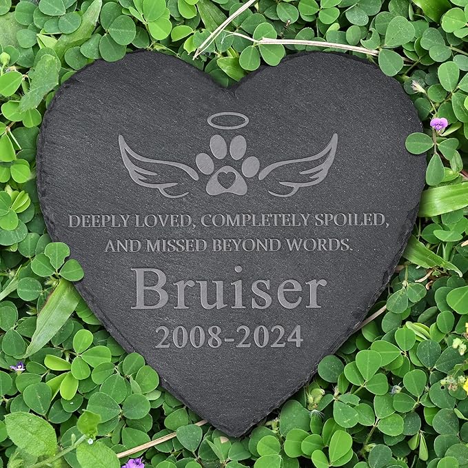 Pet Memorial Gifts, Pet Memorial Stone, Dog Memorial Stone, Dog Memorial Gifts for Loss of Dog, Cat Memorial Gifts, Pet Loss Gifts, Loss of Dog Sympathy Gift, In Memory of Pet - Miss Beyond Words