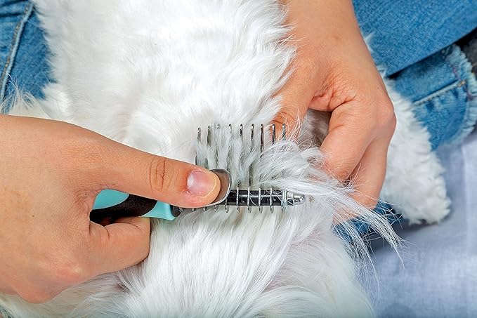Pixie Paws Grooming Pet Brush 6 Piece Set, Dog and Cat Kit, Dematting Comb, Deshedding Fur, Toothbrush Clean Teeth, Remove Knot Tangles, Nail Clippers, Comfortable Handle - 530004E