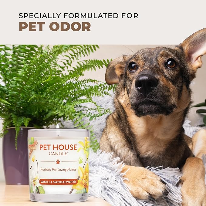 One Fur All Pet House Candles, Long Lasting, Clean Burning, Soy Wax Scented Candles for Pet Odor, Fireside