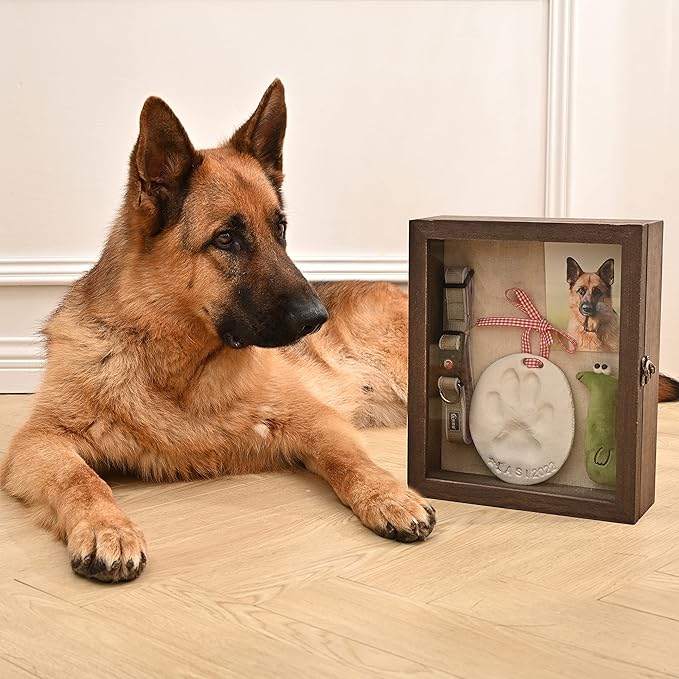 Pet Memorial Shadow Box with Clay Paw Print Impression Kit,Dog Wood Picture Frame Ornament as Loss Pet Keepsake and Gifts for Pet Lover