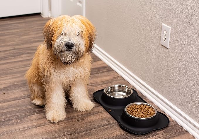 Internet's Best Bone Dog Bowl Set | Double Stainless Steel Pet Food Water Bowls | No Spill Silicone Stand | Large Medium Breeds | Black