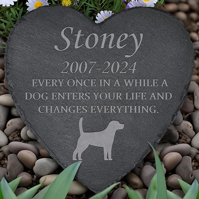 Pet Memorial Gifts for Dogs, Dog Memorial Stone, Dog Memorial Gifts for Loss of Dog, Loss of Dog Sympathy Gift, In Memory of Dog, Pet Loss Gifts Dog - Enter Your Life, Change Everything (Heart-Shaped)