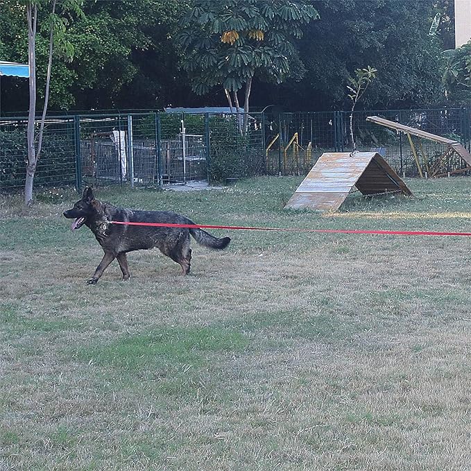 Dog/Puppy Obedience Recall Training Agility Lead - 15ft 20ft 30ft 40ft 50ft Training Leash - Great for Play, Camping, or Backyard (Brown, 40 Feet)