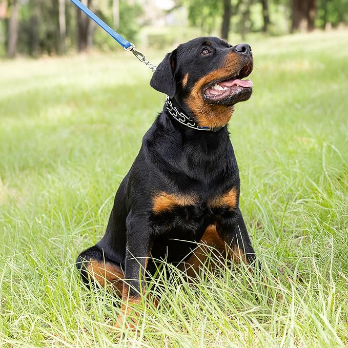 Herm Sprenger 3mm Prong Collar with Short Links & Quick Release Buckle & Biothane Insert & Swivel | Chrome Plated Steel Dog Training Collar for Medium Dogs, 20in (Necks up to 16-17in) (Cerulean Blue)