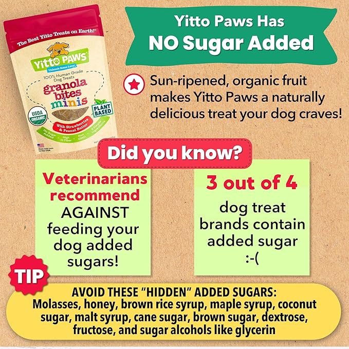 Mini Organic Dog Training Treats – Crunchy, Low Calorie Dog Biscuits with Strawberry & Peanut Butter – Vegan, Human-Grade, No Sugar Added, Made in USA for Small Dogs & Puppies, (8 oz)