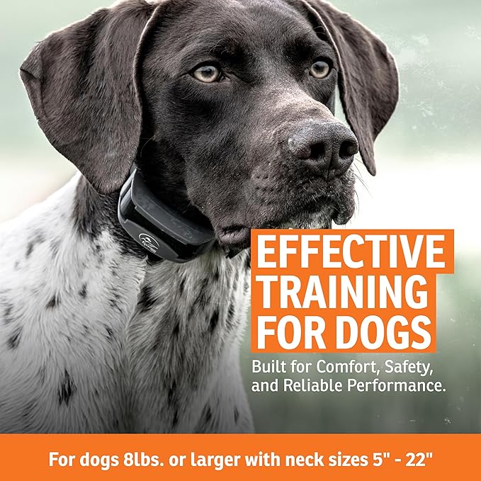 SportDOG SportHunter 1825X Remote Trainer - Long-Range Signal Unit - Quick-Charge Collar - Adjustable Training Collar - Waterproof Dog Training Gear - 1-Mile Range - Black