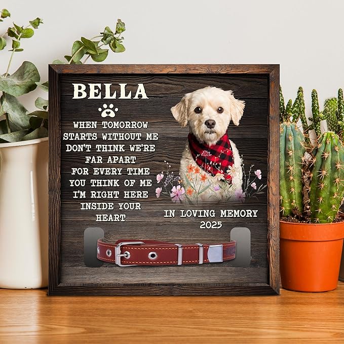 Dog Memorial Frame with Collar Holder Personalized Dog Photo Display for Loss of Pet Pet Remembrance Shadow Box Gift 8" x 8" Maple Wood Frame Color: Without You