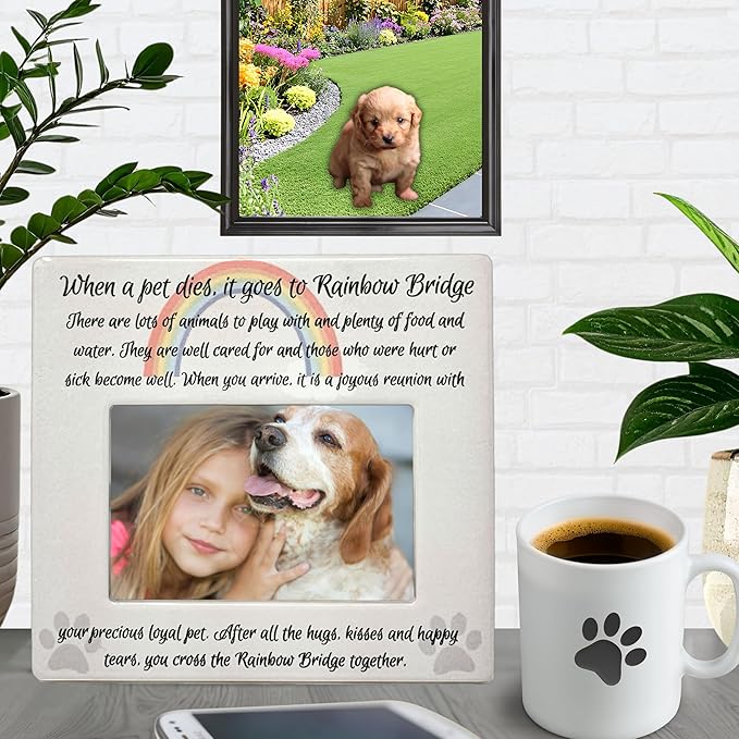 BANBERRY DESIGNS Pet Memorial 4x6 Picture Frame - Rainbow Bridge Message - Bereavement Photo Plaque for Dog or Cat - in Memory of a Pet - Pet Sympathy Gift