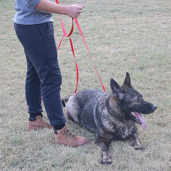 Dog/Puppy Obedience Recall Training Agility Lead - 15ft 20ft 30ft 40ft 50ft Training Leash - Great for Play, Camping, or Backyard - Orange 15ft (15Feet, Orange)