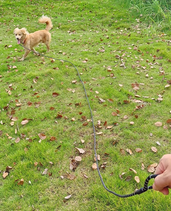 Reflective Long Slip Lead Dog Leash Anti-Choking 12 FT/20 FT/30 FT/50 FT Rope Training Leash for Medium Dogs Small Puppy Pets (20ft, Blue)