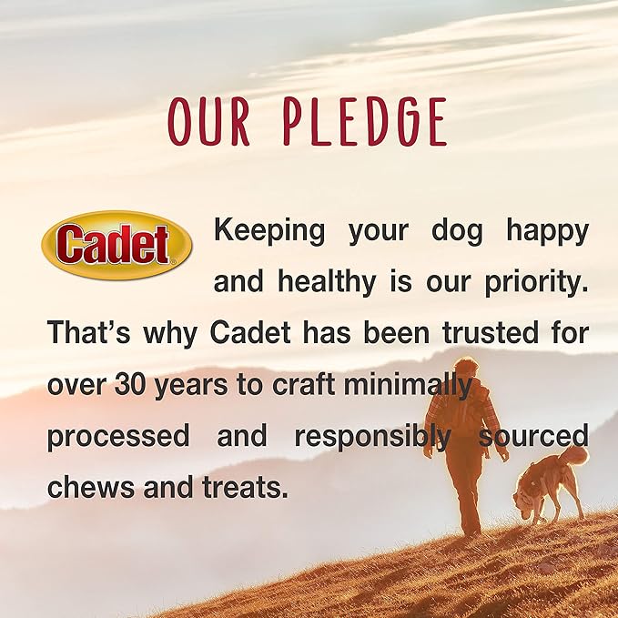 Cadet Bully Sticks for Small Dogs – All-Natural Beef Pizzle, High Protein, Low Fat, Long-Lasting, Grain & Rawhide-Free Dog Chews for Aggressive Chewers, Small (12 Ounce)