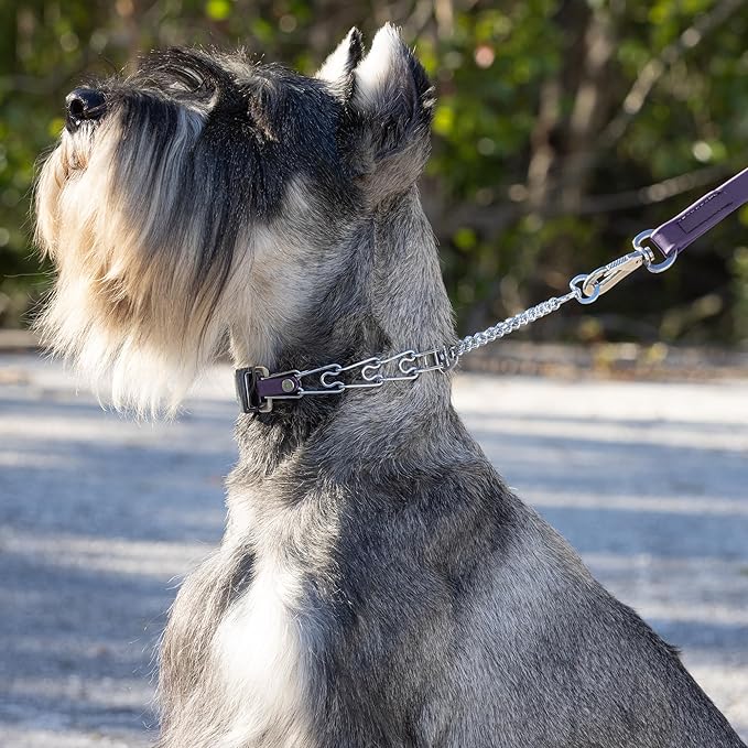 Herm Sprenger Chrome Plated Steel Dog Collar with Quick Release ClicLock Buckle and Biothane Insert Training Collar for Dogs Made in Germany (Violet Purple, 16in x 2.25mm(Neck Size up to 13-14in))