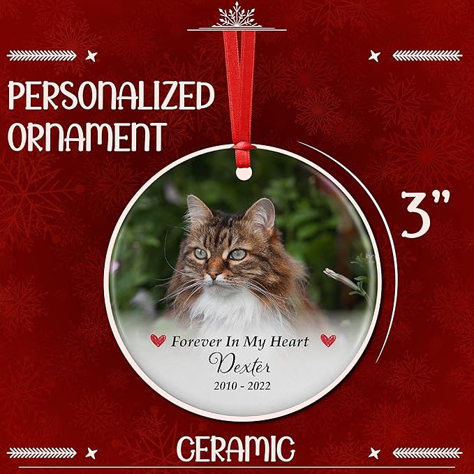 Pet Memorial Gifts, Personalized Dog Memorial Photo Ornament, Custom w/Name & Date - 5 Designs - in Loving Memory, Pet Sympathy Gifts - Keepsake Loss of Dog Cat, D5