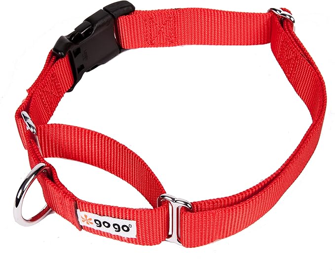 GOGO Pet Products 3/8-Inch Martingale Dog Collar, X-Small, Red