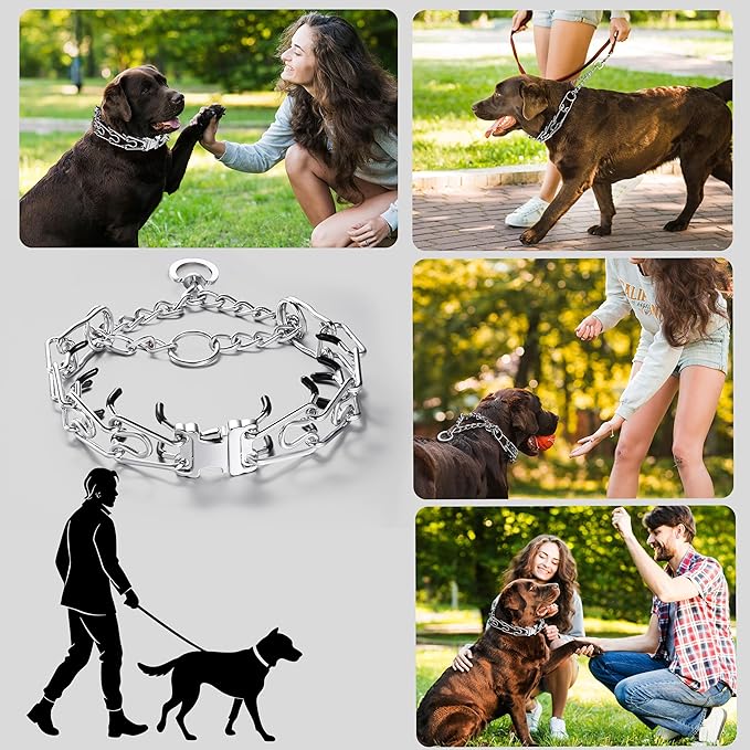 Dog Training Collar, Adjustable Stainless Steel Collar with Quick Release Buckle for Small Medium Large Dogs (XL/Neck Girth 16.9"-22.2")