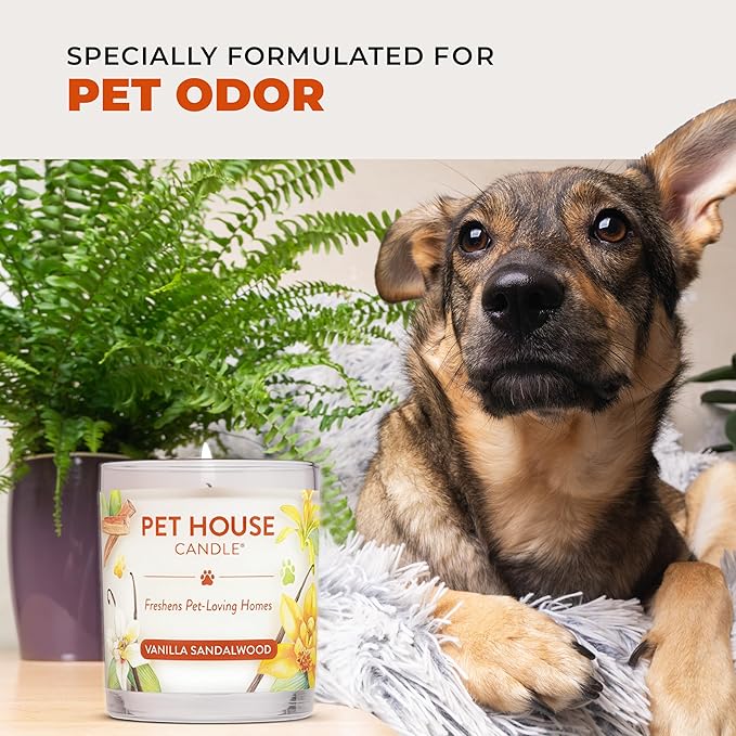 One Fur All Pet Friendly Candle 9 OZ Plant-Based Scented Soy Candle with a 60 Hour Burn Time, Clean Air Freshener Made for Pet Loving Homes - Evergeen Forest, Fireside