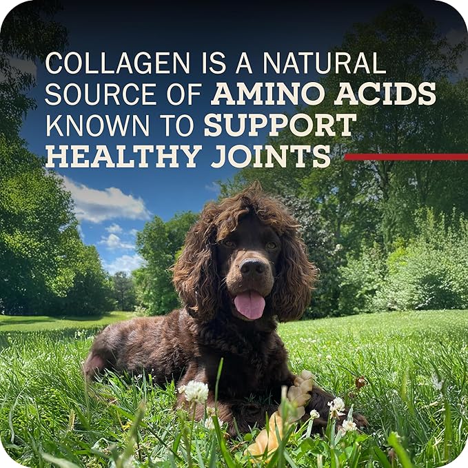 Redbarn Pet Products All-Natural Large 12" Beef Collagen Sticks for Dogs - Long Lasting Low-Odor Alternative to Traditional Rawhide & Bully Sticks - Supports Healthy Joints, Skin, & Coat - 3 Pack