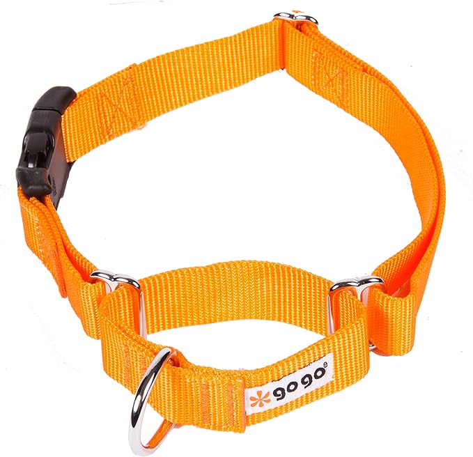 GOGO Pet Products 5/8-Inch Martingale Dog Collar, Small, Orange