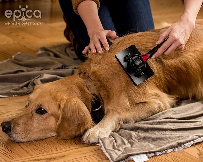 Self-Cleaning Slicker Brush with Pivoting Head for Dogs