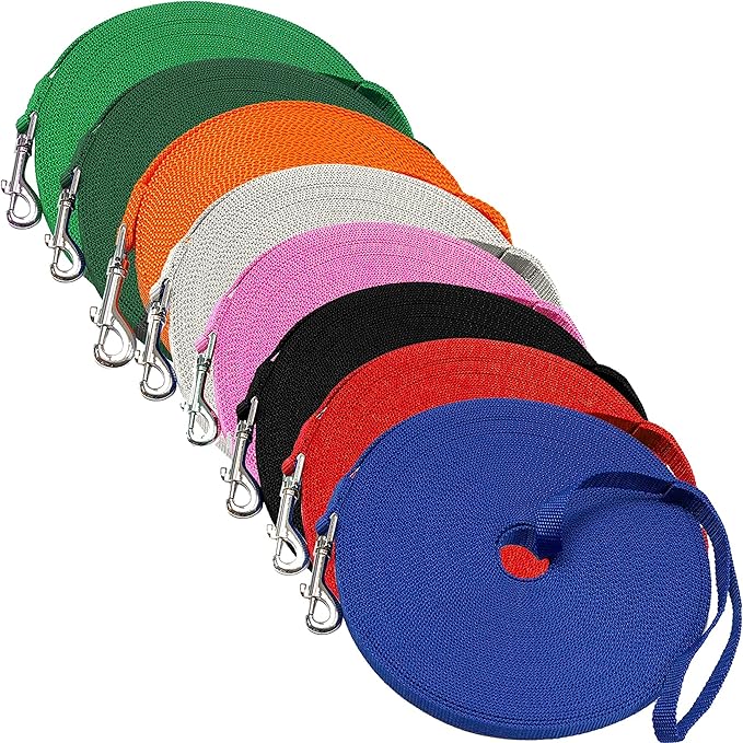 Downtown Pet Supply - Long Dog Leash - 75 ft Blue Nylon Dog Training Leash for Recall & Obedience