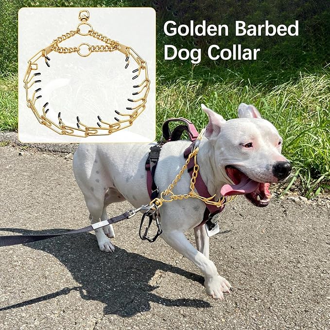 Dog Pinch Collar Stainless Steel,Gold Prong Dog Training Collar,No Pull Martingale Collar Stainless Steel Metal Chain Collar,Adjustable Size Collar for Medium and Large Dogs (M, Gold)