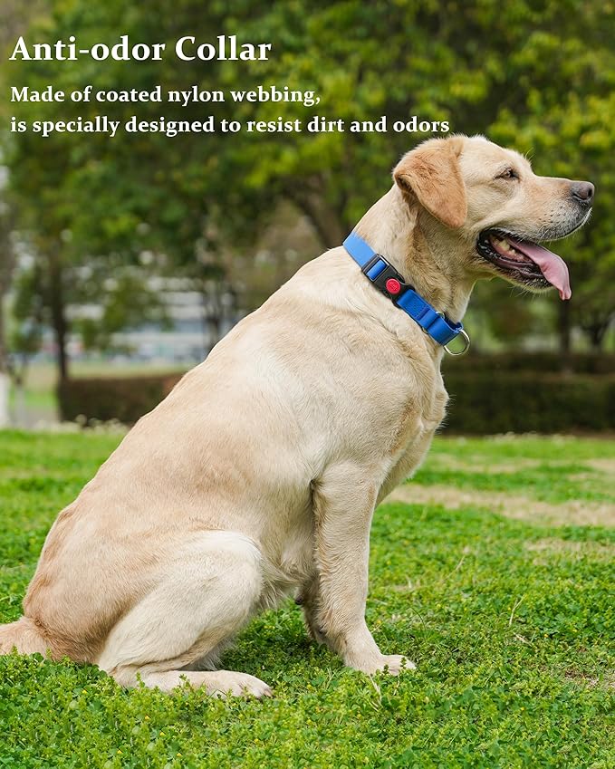 Waterproof Martingale Collar for Dogs,Easy to Clean Dog Collars with Safety Quick Release Buckle,Rubber Collar for Medium Large Dogs Walking Training (Blue, M (16.5-20.8inch))