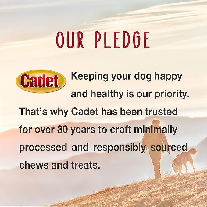 Cadet Gourmet Sweet Potato Fries Dog Treats - Healthy & Natural Sweet Potato Dog Training Treats for Small & Large Dogs - Inspected & Tested in USA (2 lbs.)