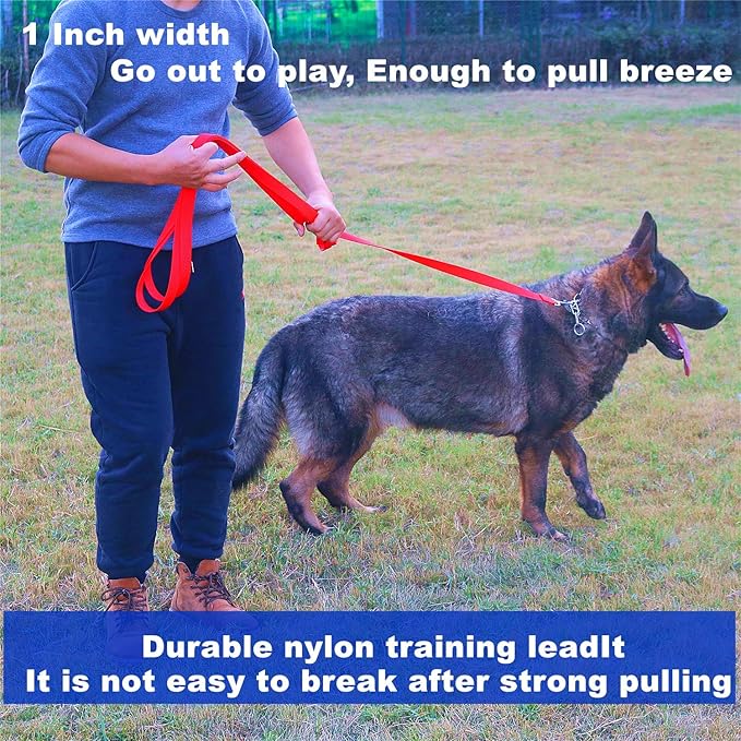 Strong Durable Nylon 10ft Long Dog Training Leash, Traction Rope, 1 Inch Wide, for Small and Medium Dog (Purple, 10 Feet)