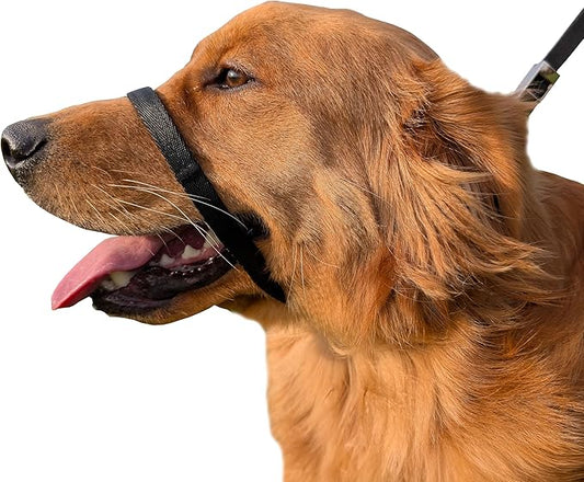 PetsProMax No-Pull Dog Headcollar for Extra Large Dogs; Instant Stop Pulling; Gentle Training Collar for Dogs; Comfortable, Safe, and Effective Walking/Training Solution (Black, XL)