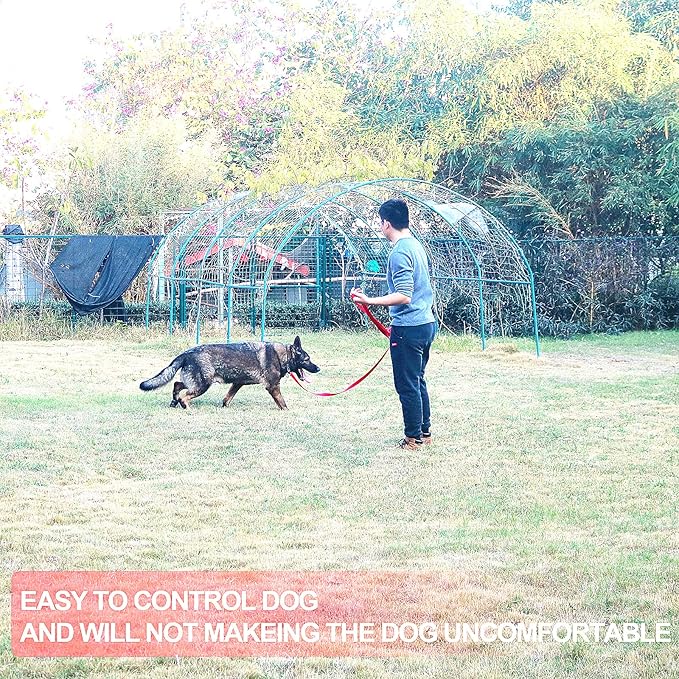 Dog/Puppy Obedience Recall Training Agility Lead - 15ft 20ft 30ft 40ft 50ft Training Leash - Great for Play, Camping, or Backyard - Blue 20ft