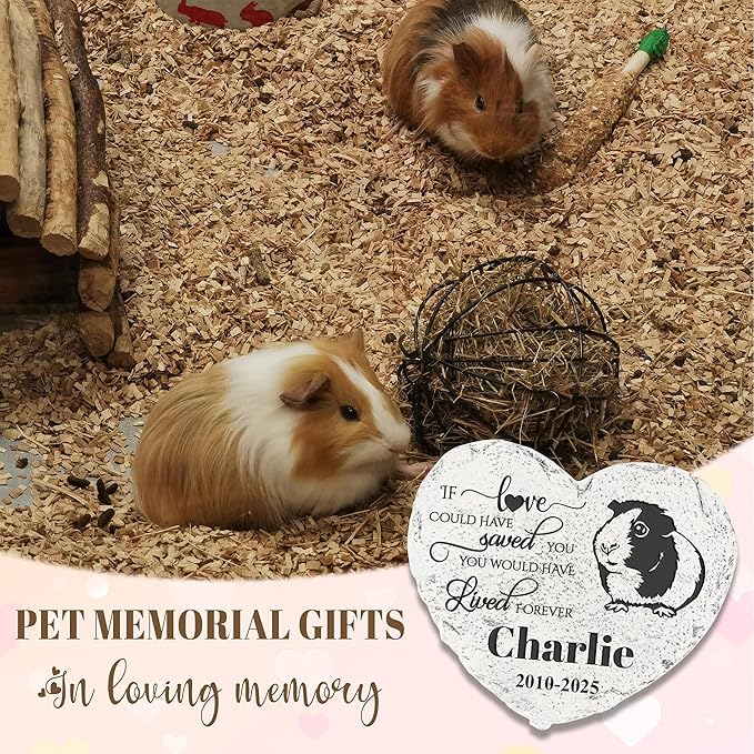 Personalized Dog Memorial Stone, Loss Gifts for Pet, Garden Stone, Pet Loss Gifts Cat Memorial Gifts, Cemetery Decorations, Grave Stone (Guinea Pig)