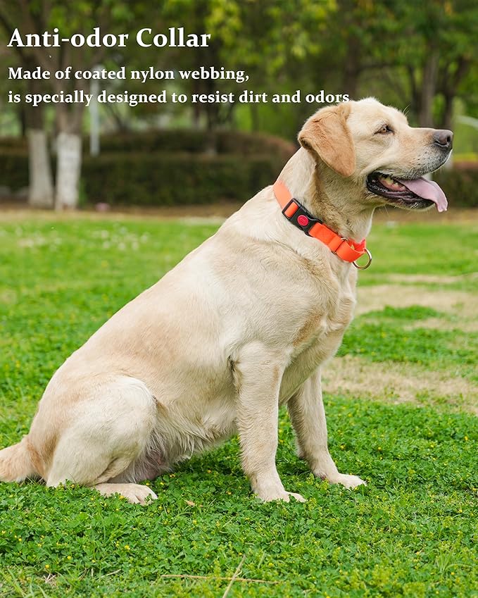 Waterproof Martingale Collar for Dogs,Easy to Clean Dog Collars with Safety Quick Release Buckle,Rubber Collar for Medium Large Dogs Walking Training (Orange, M (16.5-20.8inch))