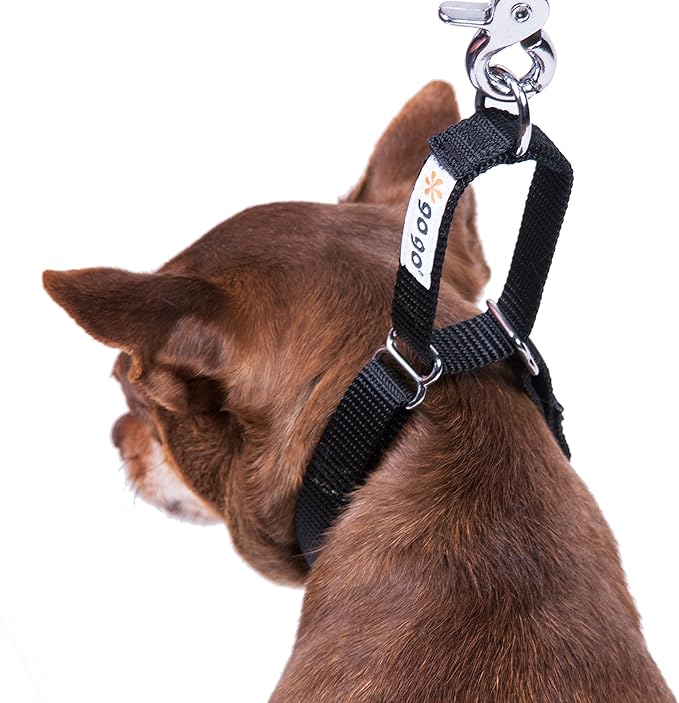 GoGo Pet Products GoGo 3/4-Inch Martingale Dog Collar, Medium, Black