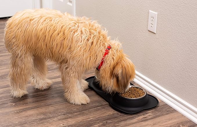 Internet's Best Bone Dog Bowl Set | Double Stainless Steel Pet Food Water Bowls | No Spill Silicone Stand | Large Medium Breeds | Black