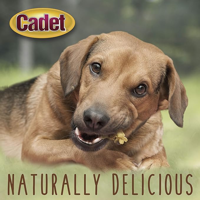 Cadet Gourmet Chicken & Apple Wrapped Dog Treats Wraps - Healthy & Natural Chicken & Apple Dog Training Treats for Small & Large Dogs - Inspected & Tested in USA (14 oz.)