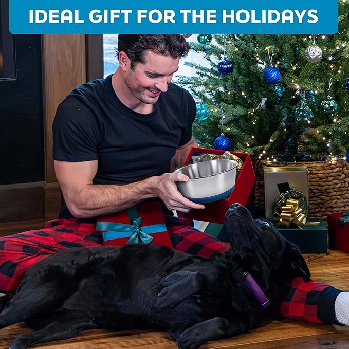 Master Pet Supply Stainless Steel Dog Bowls Set of 2 with Extra Thick Silicone Base - 16 Cup (128 oz) True Blue, Non-Slip, Dishwasher Safe Metal Bowls, Pet Dog Food Bowl for Dogs, Cats, Anti Rust