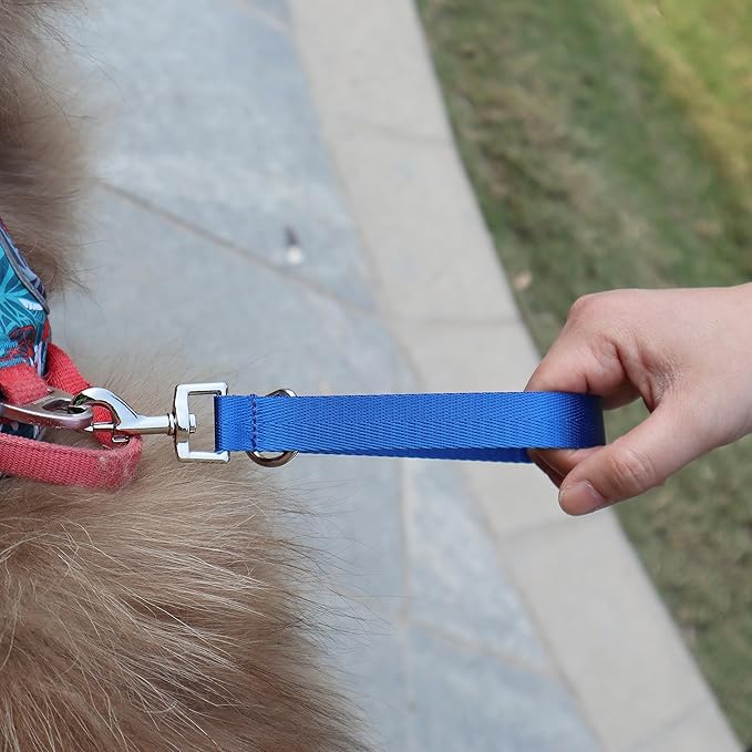 Traffic Dog Leash Dogs Training Leash Pet Traffic Grab Handle Training Tab Pets Leash Short Dog Leashes Dogs Training Lead Leashes (Green & Blue)
