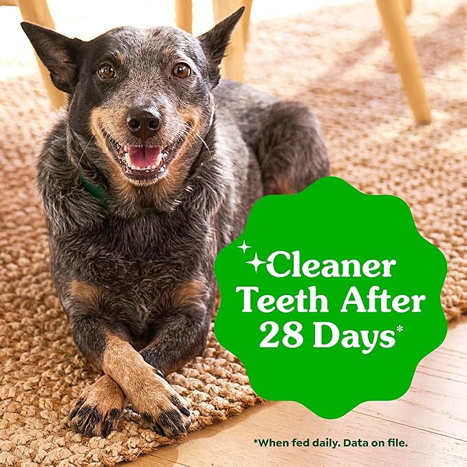 Greenies Veterinarian-Recommended Adult Natural Dental Dog Treats Regular Size, Dog Dental Chews, Original Flavor, 12 oz. Pack, 12 Count