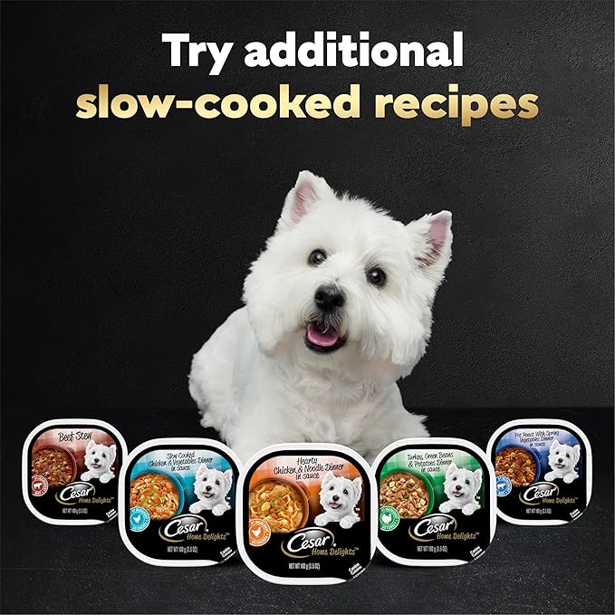 Cesar Home Delights Adult Wet Dog Food, Hearty Chicken & Noodle Dinner in Sauce, Wet Food for Dogs, 3.5 oz Tray, 24 Count