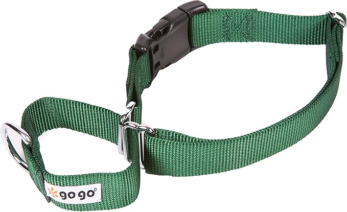 GOGO Pet Products 5/8-Inch Martingale Dog Collar, Small, Hunter Green