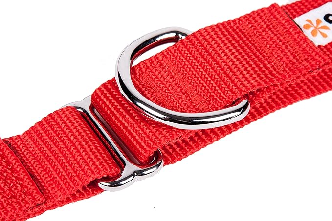 GOGO Pet Products 3/4-Inch Martingale Dog Collar, Medium, Red