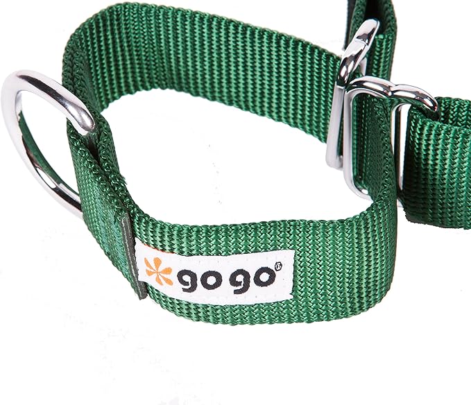 GOGO Pet Products 1-Inch Martingale Dog Collar, Large, Hunter Green