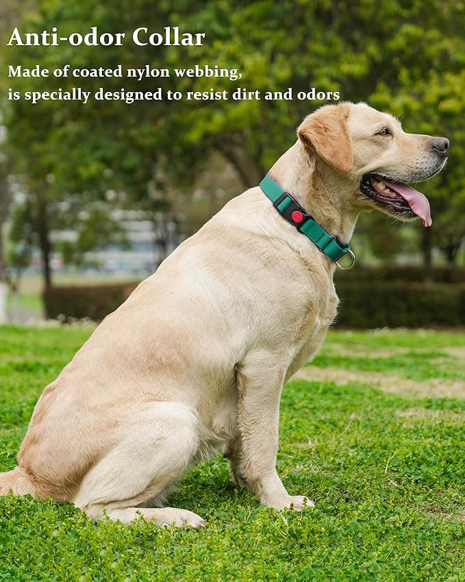 Waterproof Martingale Collar for Dogs,Easy to Clean Dog Collars with Safety Quick Release Buckle,Rubber Collar for Medium Large Dogs Walking Training (Emerald Green, L (19.6-25.9inch))