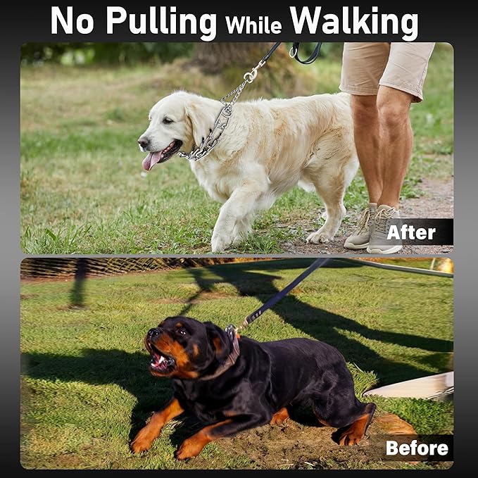 Dog Training Collar Adjustable Stainless Steel Collar with Quick Release Buckle for Neck Girth 14.5"-18.6" Dog
