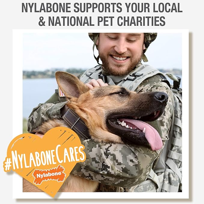 Nylabone Healthy Edibles Wild Natural Long-Lasting Bison Flavor Bone Chew Treats for Dogs, Large (1 Count) (Pack of 4)